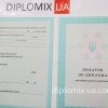 Диплом ПТУ с 2014 по 2021 год