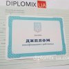 Диплом ПТУ с 2014 по 2021 год